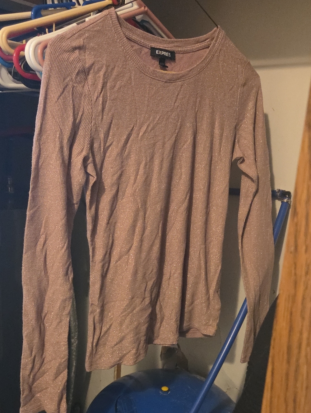 Express Womens Shimmery Mauve Crewneck Sweater